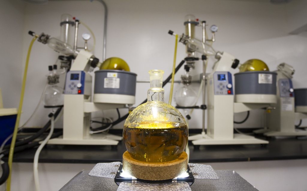 Cannabis Concentrate Lab